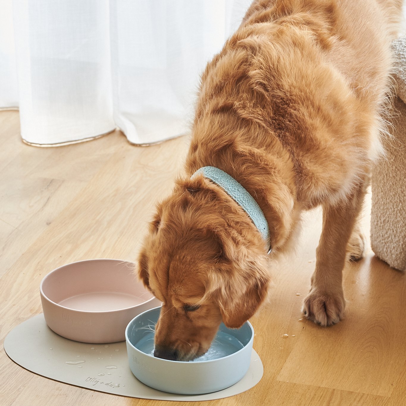 Aapon Mini Market Ltd pet bowls