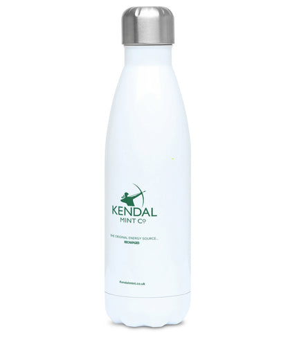 Stainless Steel Insulated Flask 500ml - Conquer Your Everest